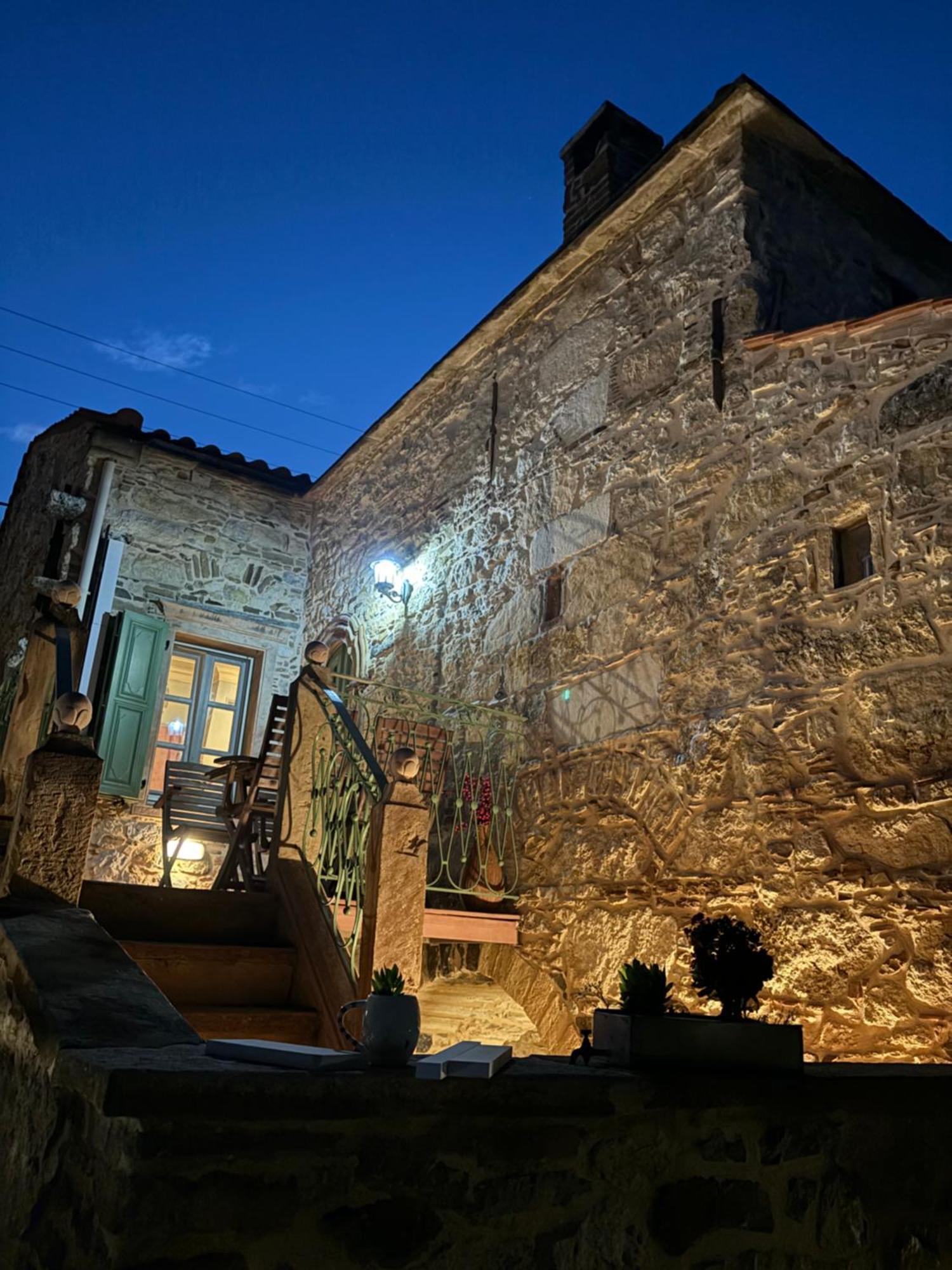 Irene'S Mansion Daire Vrontádos Dış mekan fotoğraf
